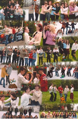 2006 , 11- 